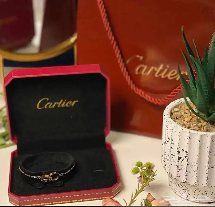 اسوارة كارتير رجالي ونسائي 9