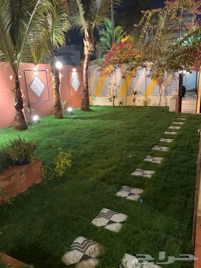 ثيل عشب طبيعي مضمون مياه ابار 9