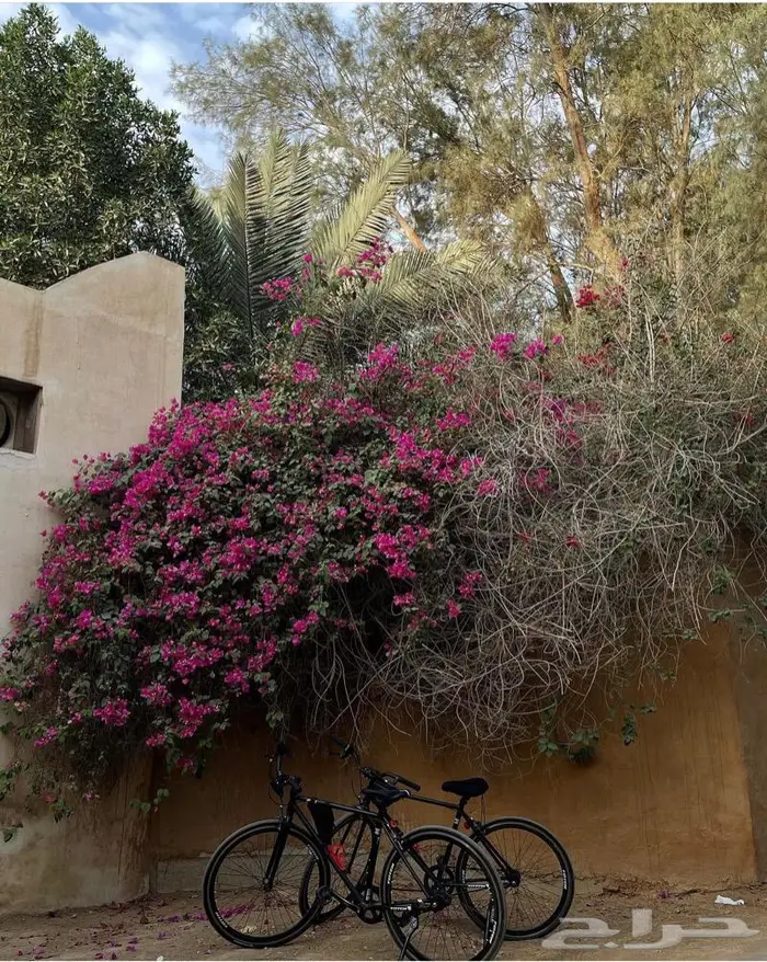 سياكل وسكوترات في جميع حدائق الحدائق والمدارس والمزارع 9