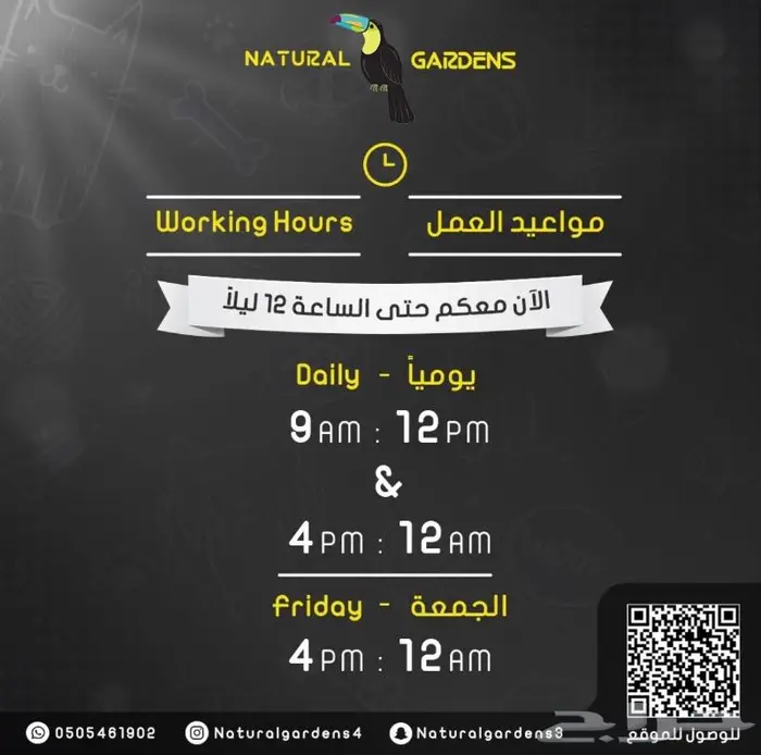 مونشيكن لعشاق النوادر 17