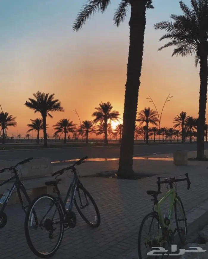 سكوترات تاجير موجودين 24 ساعة وتوصيل مجاني 3