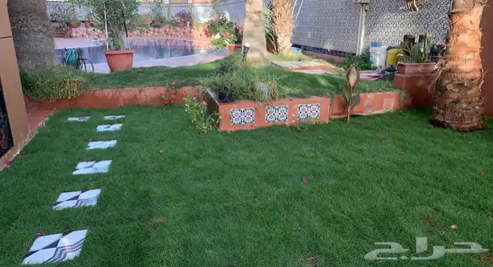 ثيل عشب طبيعي مضمون مياه ابار 10