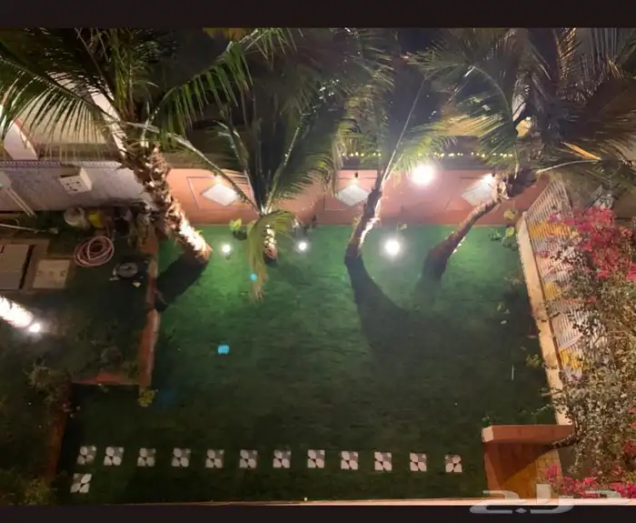 ثيل عشب طبيعي مضمون مياه ابار 7