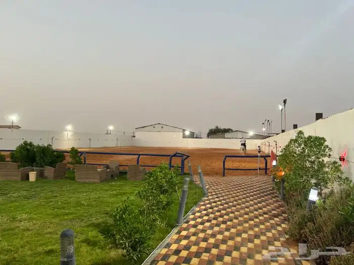 تدريب على ركوب الخيل 11