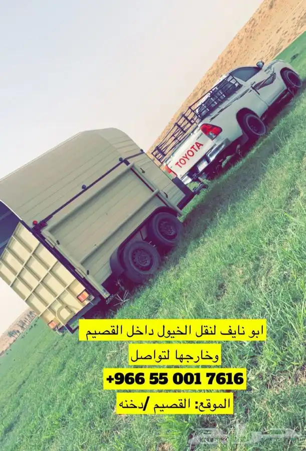 عربه نقل خيل 3