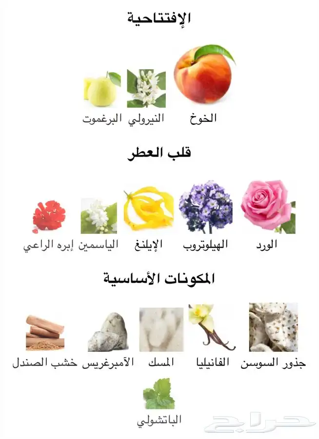 عطر روجا الفاخر اينجما Roja enigma 2