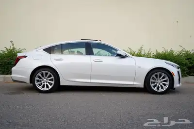 كديلاك CT5اصفار ضمان الوكيل 2021(مباعه) 13