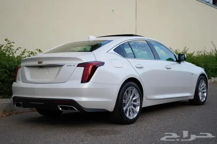 كديلاك CT5اصفار ضمان الوكيل 2021(مباعه) 12