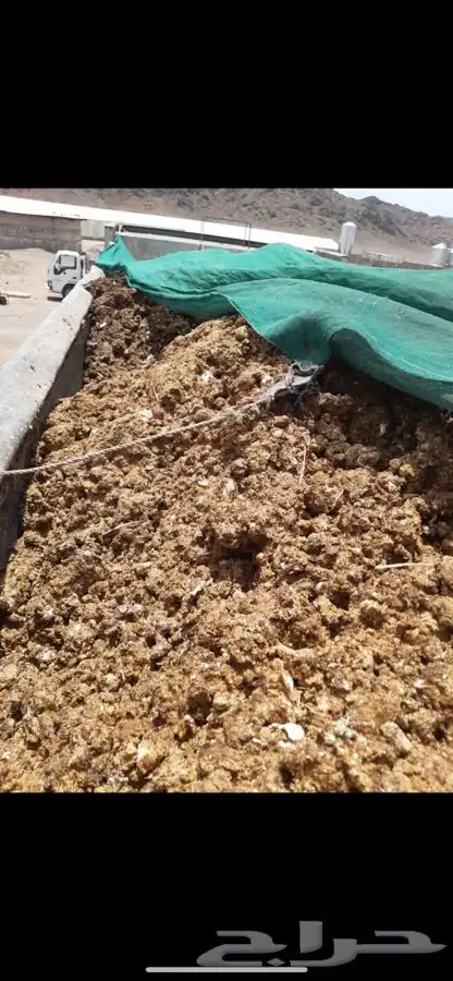 دمن دواجن الي النخيل بيوت المحميه 0
