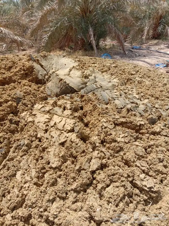 دمن دواجن الي النخيل بيوت المحميه 1