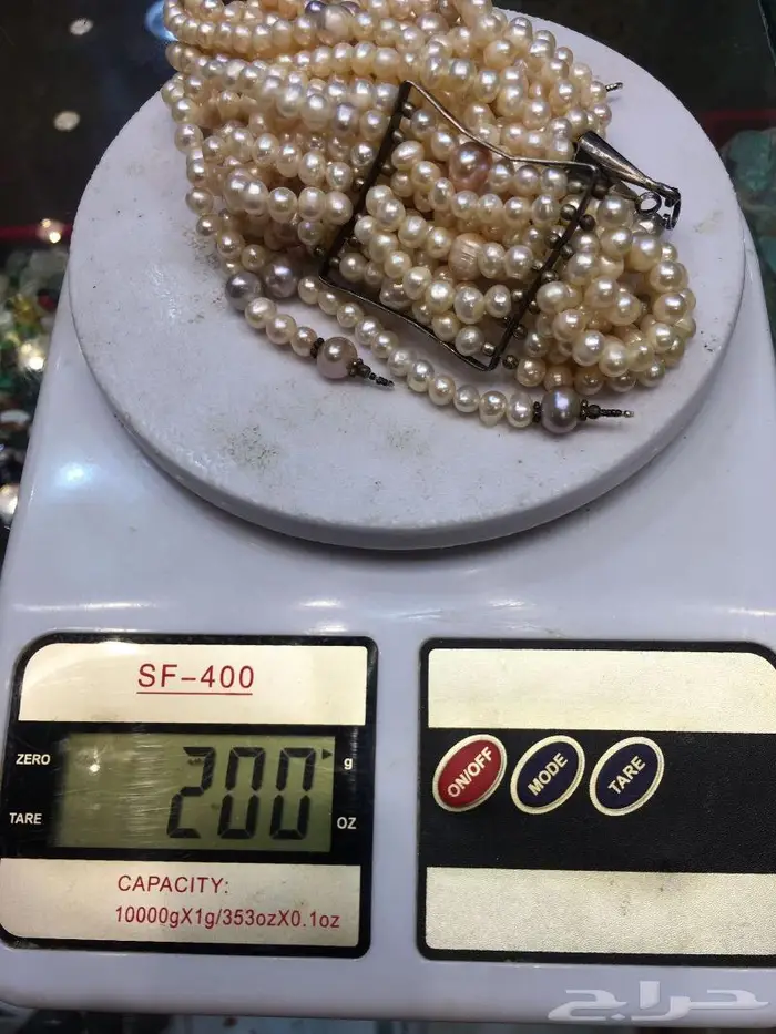 عقد لؤلؤ بحريني عملاق 4