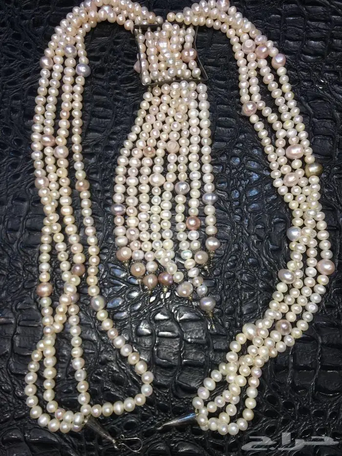عقد لؤلؤ بحريني عملاق 3