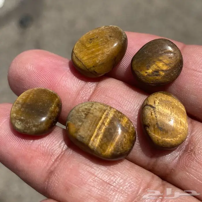 احجار تايقر افريقي اصلي قديمه ومخزنه 2