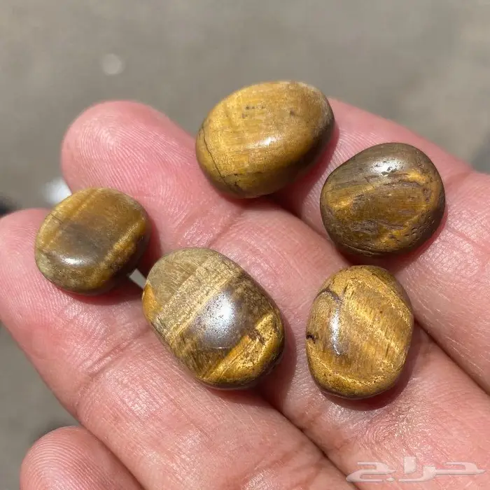 احجار تايقر افريقي اصلي قديمه ومخزنه 6