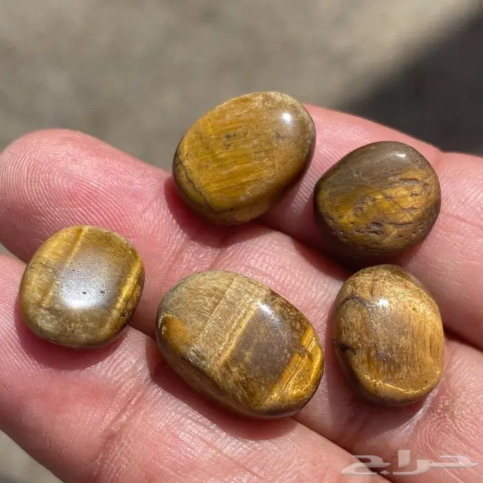 احجار تايقر افريقي اصلي قديمه ومخزنه 0