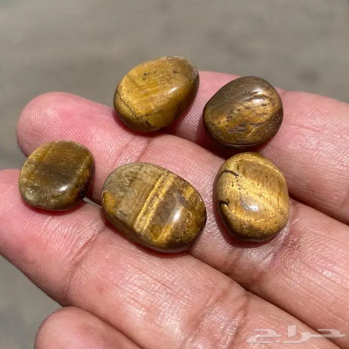 احجار تايقر افريقي اصلي قديمه ومخزنه 8