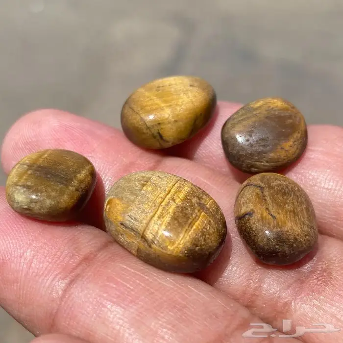 احجار تايقر افريقي اصلي قديمه ومخزنه 10