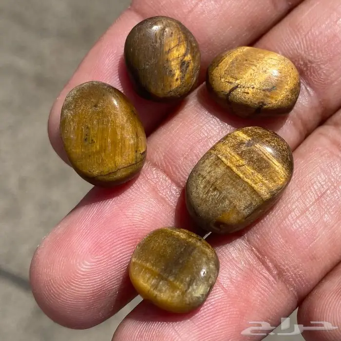 احجار تايقر افريقي اصلي قديمه ومخزنه 4