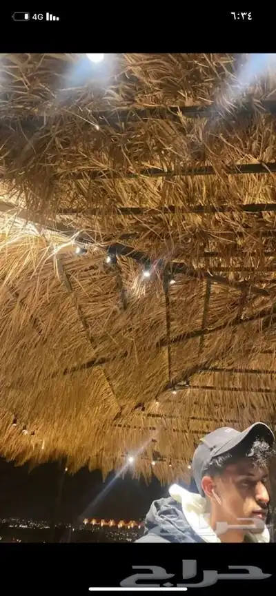 سعف نخل جريد لبييع جاهز 1