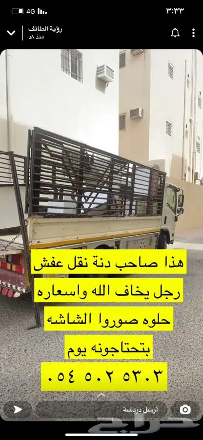 دينا مشاوير 0