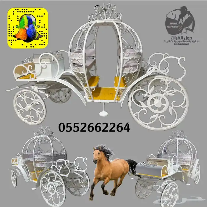 حنطور كهرب و حنطور خيل ( عربة خيل ) 8