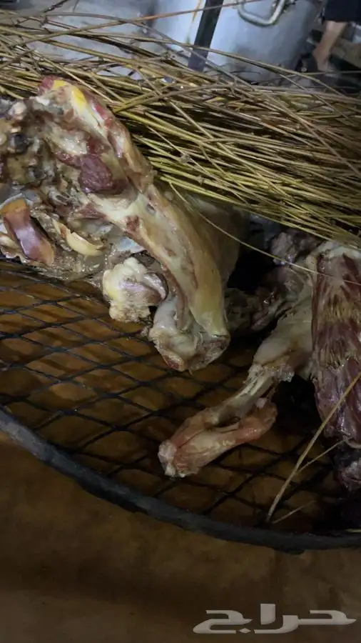 طبخ بالبشام والمرخ تيوس وطليان صغار وسط كبير مفطح حسب الطلب 0