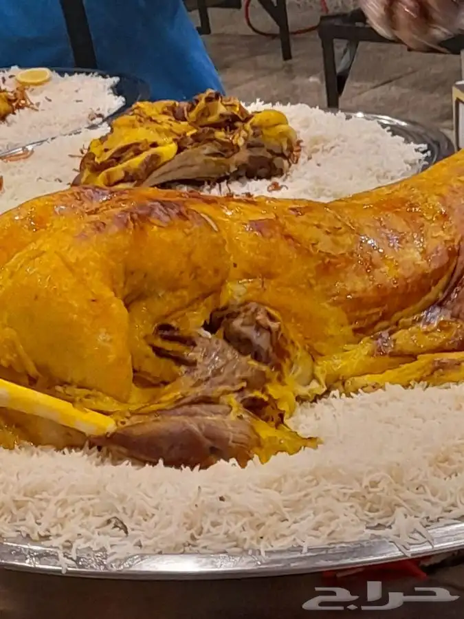 طبخ بالبشام والمرخ تيوس وطليان صغار وسط كبير مفطح حسب الطلب 3