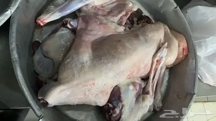 طبخ بالبشام والمرخ تيوس وطليان صغار وسط كبير مفطح حسب الطلب 1