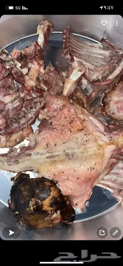 حنيذ بالمرخ او البشام ذبايح تيوس وطليان 5