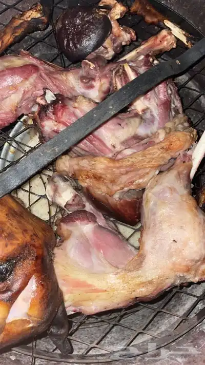 حنيذ بالمرخ او البشام ذبايح تيوس وطليان 6