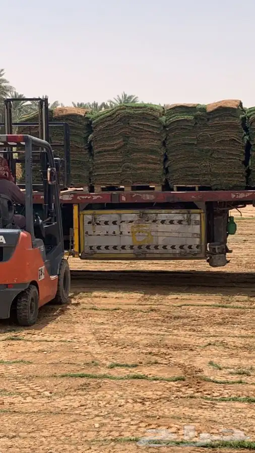 ثيل cl2000 الخرج نخل وشنطونيه 41