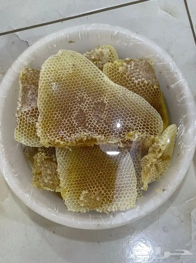 عسل بلدي من رجال المع عسير 190 للكيلو يوجد جمله بسعر منافس 7