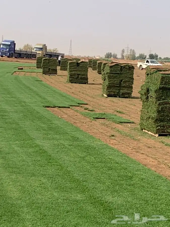 ثيل cl2000 الخرج نخل وشنطونيه 38