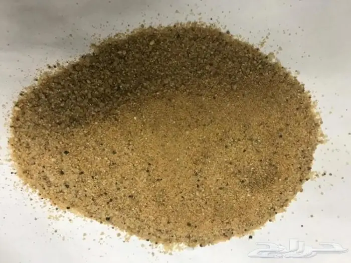 موسسة رمال الذهبي للنقليات 36