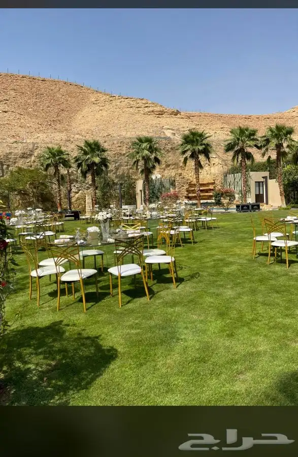 تاجير طولات كرأسي فرشات 71