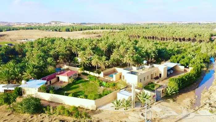 مزرعة و مسبح و مبيت للايجار اليومي في سدير 14