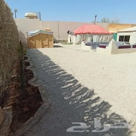 مخيم عروض التأجير 350 ايام الاسبوع 3