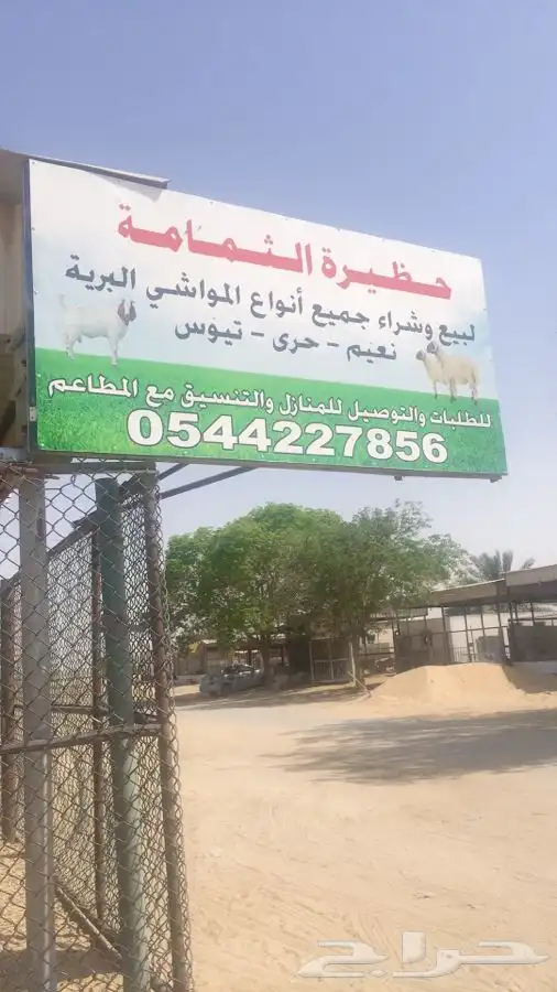 للبيع الحمام الفرنسي و البيض البلدي و الغنم النعيمي و الحري 0
