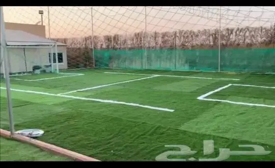 مخيم عروض التأجير 350 ايام الاسبوع 5