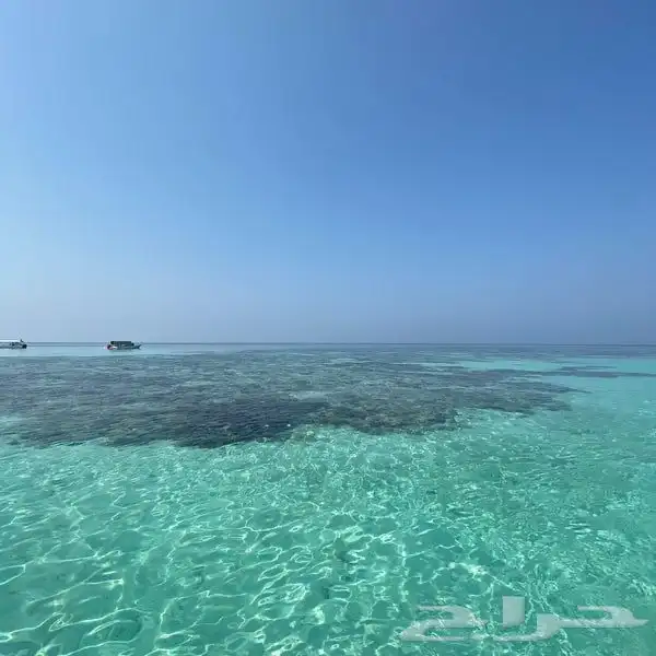 رحلات بياضة العاب مائية وسحب نزهة صيد كاستنج شباب عوائل 0