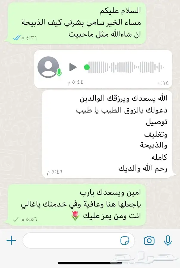 ذبايح حري ذبح توصيل لباب بيتك (نضمن ذبايحنا) 7