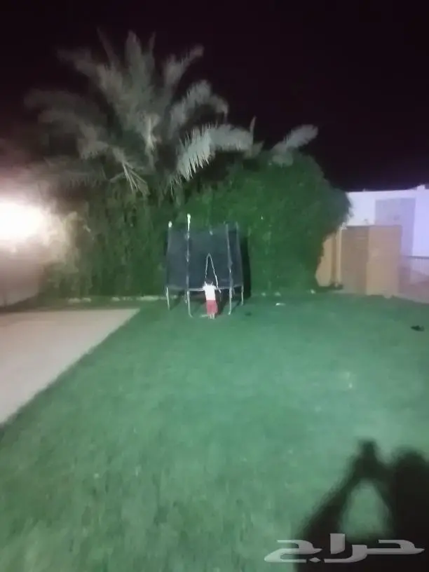 مخيم عروض التأجير 350 ايام الاسبوع 10