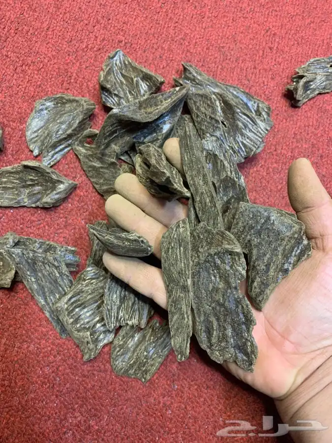 عود بخور كلمنتان اعلى درجات المحسن 1