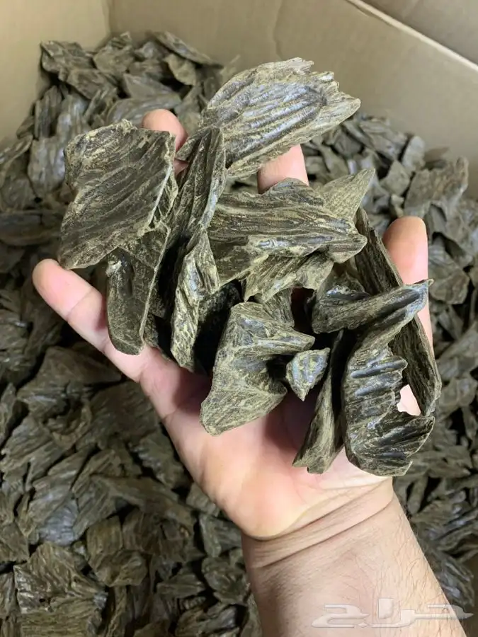 عود بخور كلمنتان اعلى درجات المحسن 2