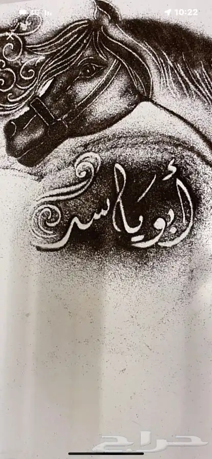 مشاريع الدواجن مطور ومنتج 2