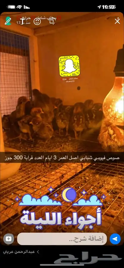 مشاريع الدواجن مطور ومنتج 4