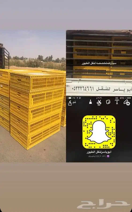 مشاريع الدواجن مطور ومنتج 1