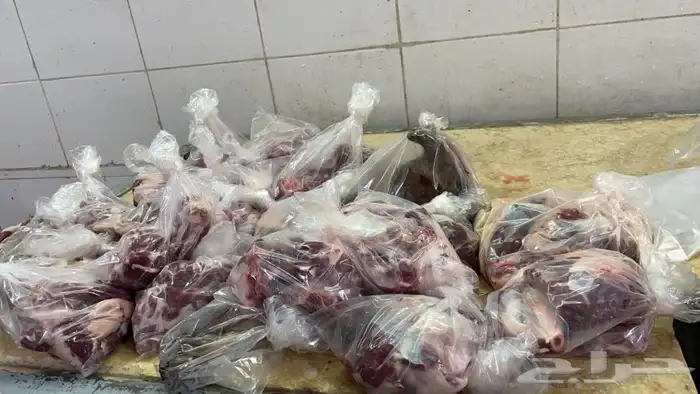 يتوفر لدينا افضل واجود انواع الذبائح الحريه من البر 12