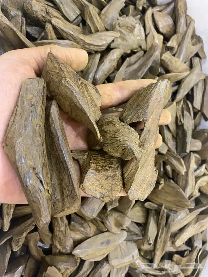 مروكي محسن فاخر دبل سوبر بيور 0