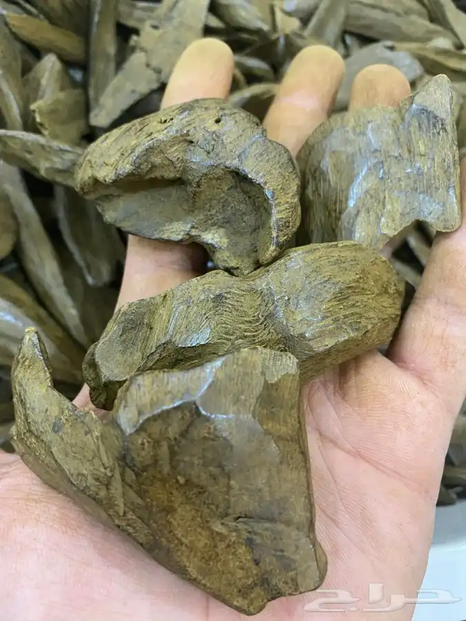 مروكي محسن فاخر دبل سوبر بيور 2